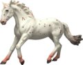 Schleich, Horse Club, Knabstrupper kanca játékfigura
