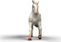 Schleich, Horse Club, Knabstrupper kanca játékfigura