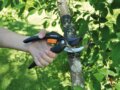 Fiskars SingleStep™ P26 metszőolló