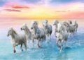 Vágtázó lovak puzzle, 500 darabos