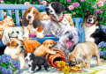 Kutyák a kertben puzzle, 1000 darabos