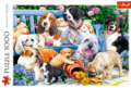 Kutyák a kertben puzzle, 1000 darabos
