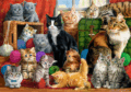 Macskatalálkozó puzzle, 1000 darabos