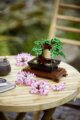 LEGO® Creator, Bonsai fa
