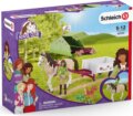 Schleich Horse Club, Sarah kempinges kalandja