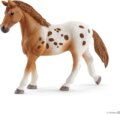 Schleich Horse Club, Lisa edzése versenyre