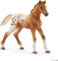 Schleich Horse Club, Lisa edzése versenyre