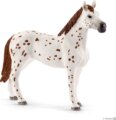 Schleich Horse Club, Lisa edzése versenyre