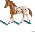 Schleich Horse Club, Lisa edzése versenyre