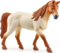 Schleich Horse Club, Lovas központ