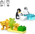 LEGO® Duplo®, Állatcsaládok a vadvilágban: Pingvinek és oroszlánok
