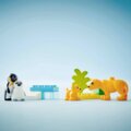 LEGO® Duplo®, Állatcsaládok a vadvilágban: Pingvinek és oroszlánok