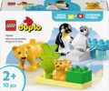 LEGO® Duplo®, Állatcsaládok a vadvilágban: Pingvinek és oroszlánok