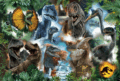 Jurassic World puzzle, 300 darabos