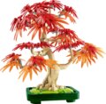 LEGO® Icons, Vöröslevelű japán juhar bonsai