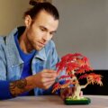 LEGO® Icons, Vöröslevelű japán juhar bonsai