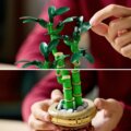 LEGO® Botanicals, Szerencsebambusz