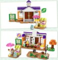 LEGO® Animal Crossing™, K.K koncertje a téren