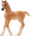 Schleich Horse Club, Arab csikó figura