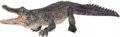 Alligátor mozgó állkapoccsal, kézzel festett figura