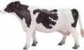 Mojo, Holstein marha, 7.5 cm