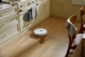 Roborock Qrevo Plus robotporszívó-és felmosó, Fehér