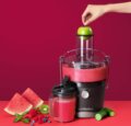 Nutribullet Juicer NBJ100G gyümölcscentrifuga, 800W