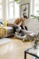 Kärcher VC 4 Cordless myHome Pet vezeték nélküli álló porszívó