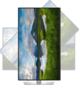 Dell Pro Plus P2425DE 23,8" WQHD IPS LED monitor