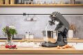ETA Gratus Kuliner II Max 2038 90010 konyhai robotgép, 1700W