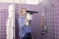 Kärcher WV 6 Bath Edition ablaktisztító