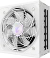 Gigabyte Aorus Elite Ice (1000W, 80Plus® Platinum, ATX)