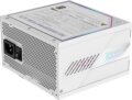 Gigabyte Aorus Elite Ice (1000W, 80Plus® Platinum, ATX)