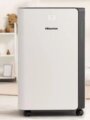 Hisense D20CW páramentesítő