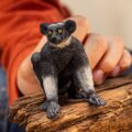 Schleich, Indri figura