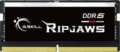 G.Skill 16GB / 4800MHz Ripjaws (DDR5, SODIMM)