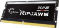 G.Skill 16GB / 4800MHz Ripjaws (DDR5, SODIMM)