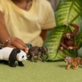 Schleich, Wild Life Ázsia kezdőkészlet