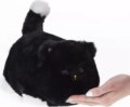 Fekete interaktív plüss cica